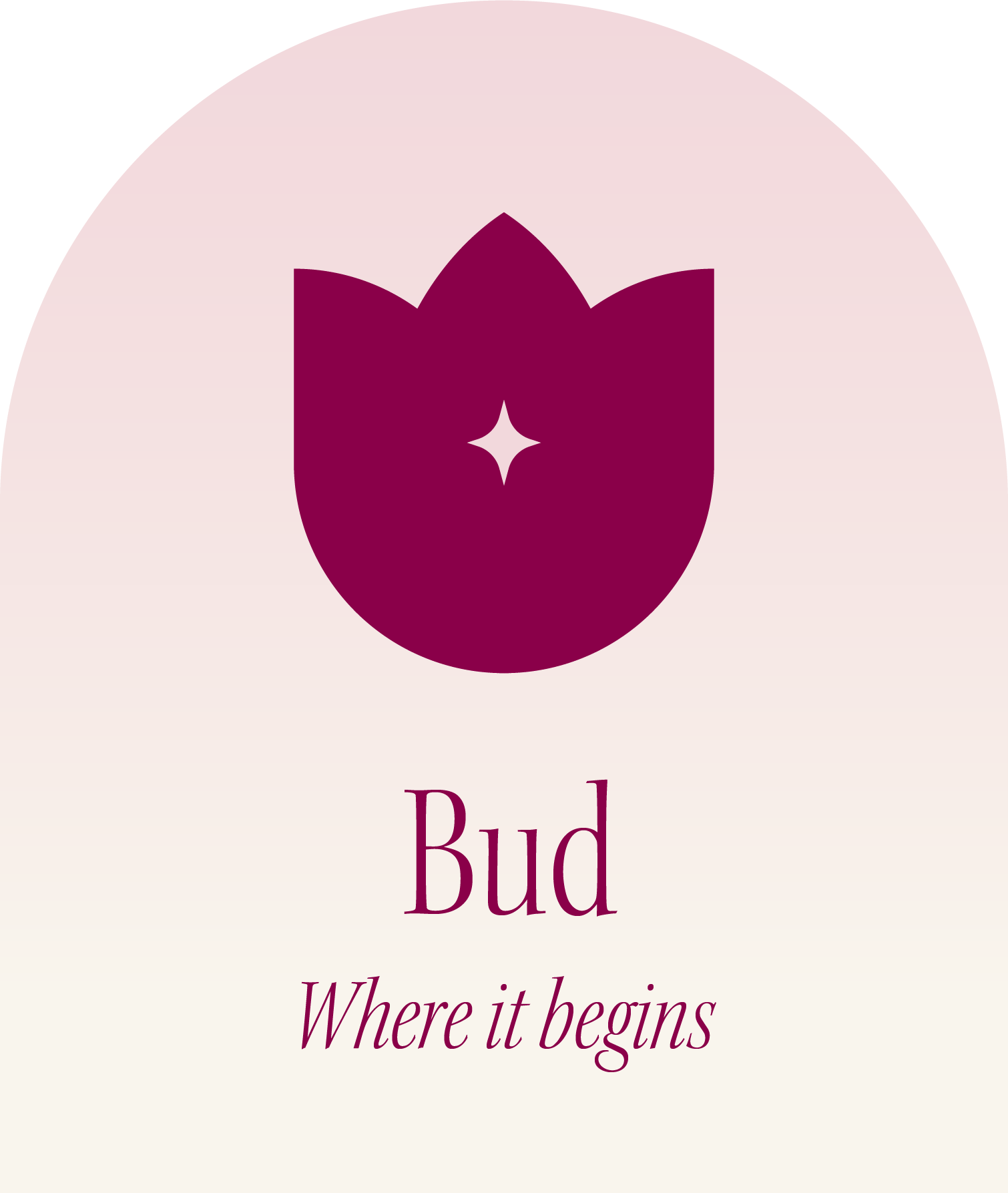 tier-bud_2x_73580e06-adbc-4d2d-9f49-783078e5ba1e.png